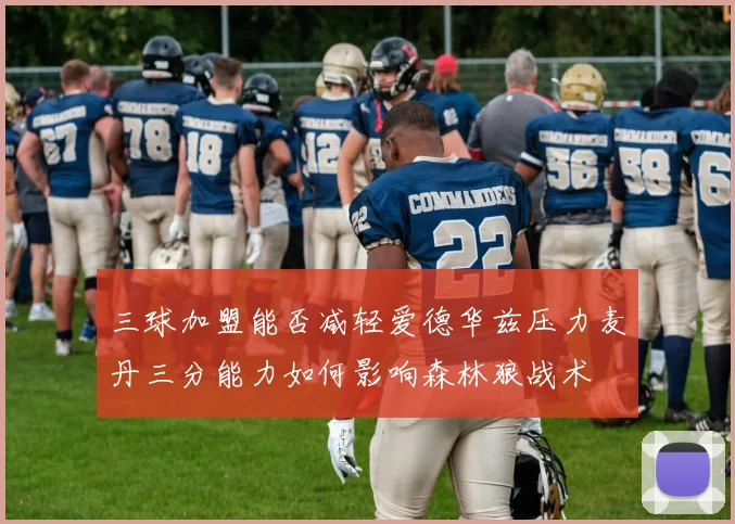 三球加盟能否减轻爱德华兹压力麦丹三分能力如何影响森林狼战术