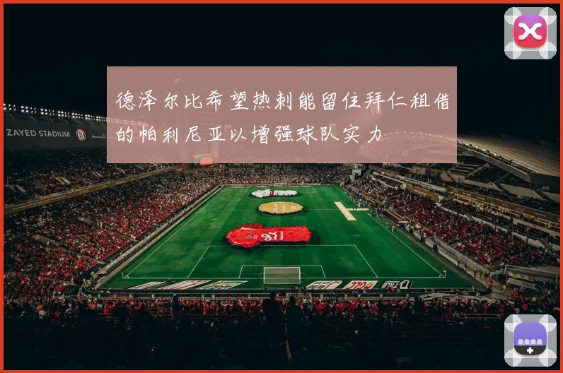 德泽尔比希望热刺能留住拜仁租借的帕利尼亚以增强球队实力